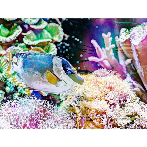 Vibrant Reef III Black Modern Wood Framed Art Print with Double Matting by Bane, Eva