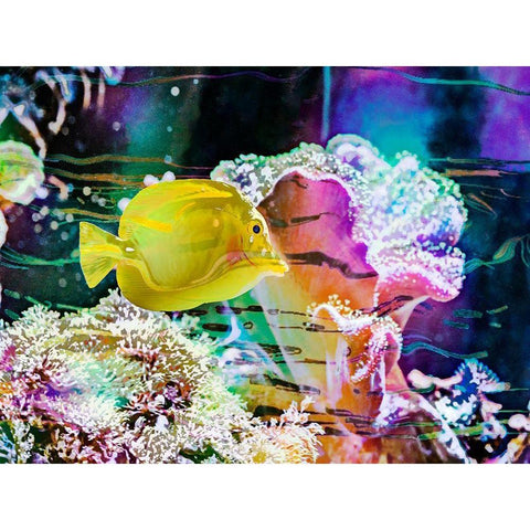 Vibrant Reef IV Black Modern Wood Framed Art Print with Double Matting by Bane, Eva