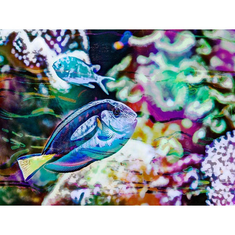 Vibrant Reef V Black Modern Wood Framed Art Print with Double Matting by Bane, Eva