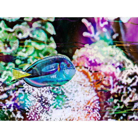 Vibrant Reef VI White Modern Wood Framed Art Print by Bane, Eva