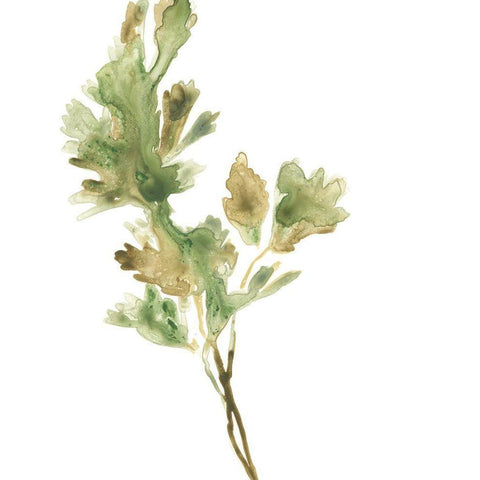 Earthtone Herbs I Gold Ornate Wood Framed Art Print with Double Matting by Vess, June Erica