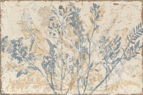 Floral Fan III Black Ornate Wood Framed Art Print with Double Matting by Meagher, Megan