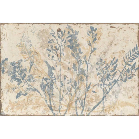 Floral Fan III Gold Ornate Wood Framed Art Print with Double Matting by Meagher, Megan