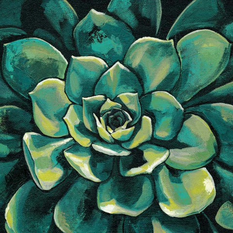 Succulent Bloom I Black Ornate Wood Framed Art Print with Double Matting by Meagher, Megan