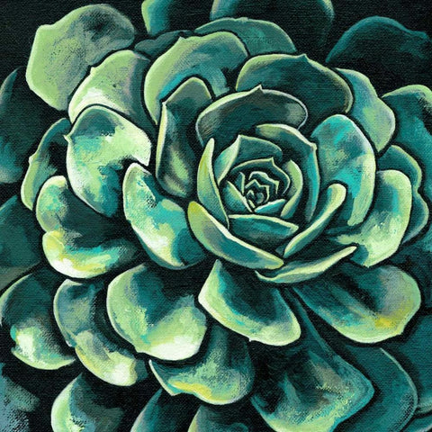 Succulent Bloom II White Modern Wood Framed Art Print by Meagher, Megan