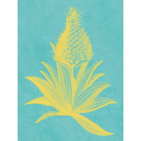 Pineapple Frais I Black Modern Wood Framed Art Print with Double Matting by Vision Studio