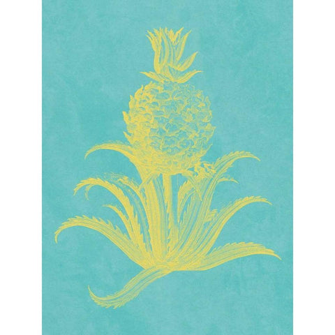 Pineapple Frais II Black Modern Wood Framed Art Print with Double Matting by Vision Studio