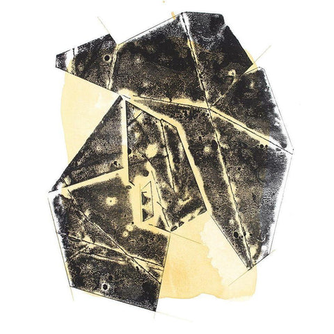 Paloma Abstract II Black Modern Wood Framed Art Print by Delamater, Rob