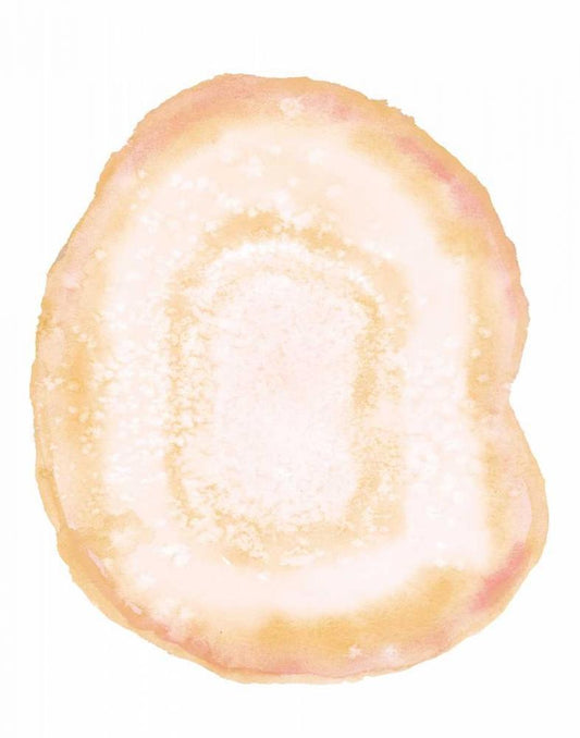 Image Only