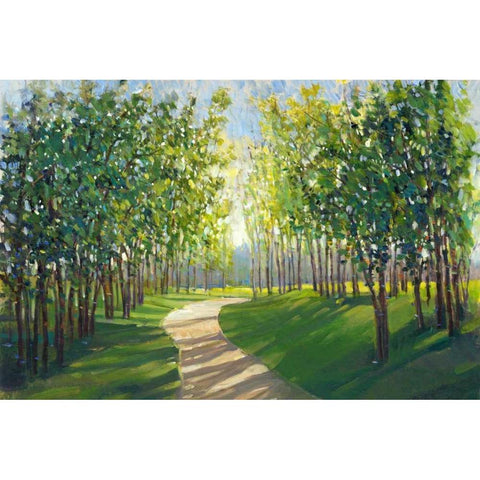 Walking Trail I Gold Ornate Wood Framed Art Print with Double Matting by OToole, Tim