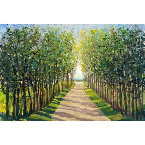 Walking Trail II Black Modern Wood Framed Art Print with Double Matting by OToole, Tim