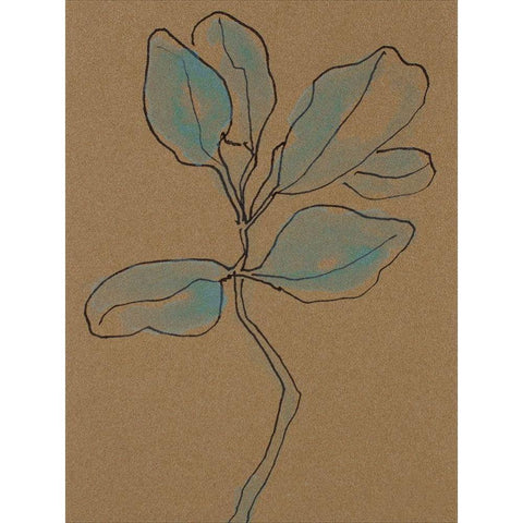 Little Plants of Big Sur I Gold Ornate Wood Framed Art Print with Double Matting by Delamater, Rob