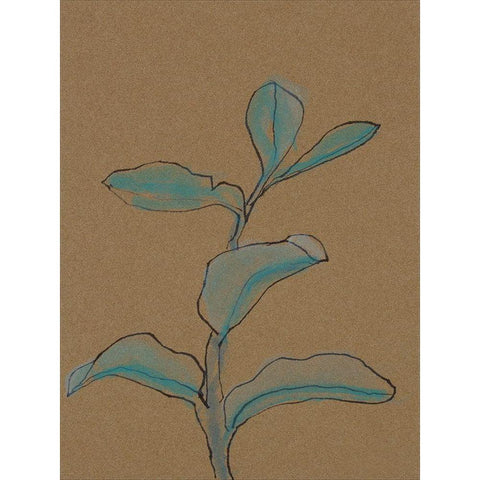 Little Plants of Big Sur V Black Modern Wood Framed Art Print with Double Matting by Delamater, Rob
