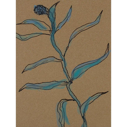 Little Plants of Big Sur IX Black Modern Wood Framed Art Print with Double Matting by Delamater, Rob