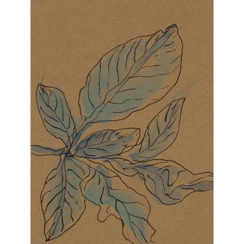 Little Plants of Big Sur XIII Black Modern Wood Framed Art Print with Double Matting by Delamater, Rob