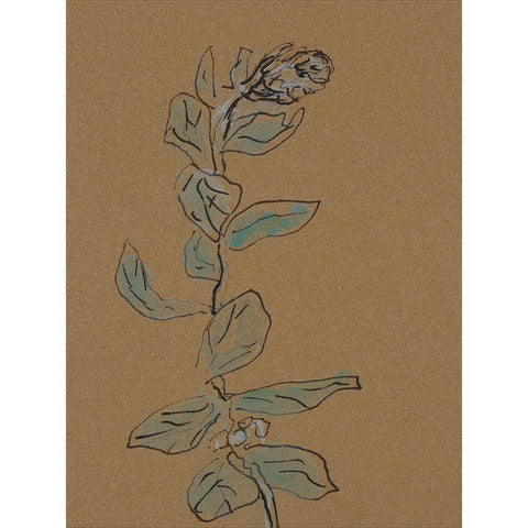 Little Plants of Big Sur XIV Black Modern Wood Framed Art Print with Double Matting by Delamater, Rob