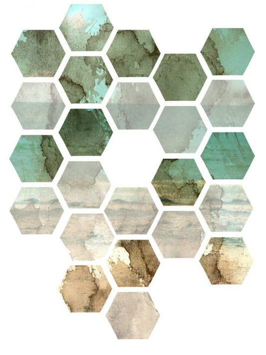 Image Only