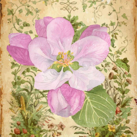 Vintage Apple Blossom II Black Modern Wood Framed Art Print by Mark, Leslie