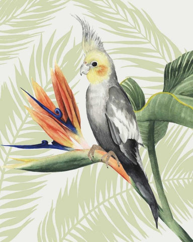 Avian Paradise I White Modern Wood Framed Art Print with Double Matting by Popp, Grace