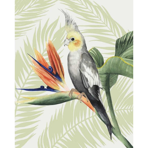 Avian Paradise I Black Modern Wood Framed Art Print with Double Matting by Popp, Grace