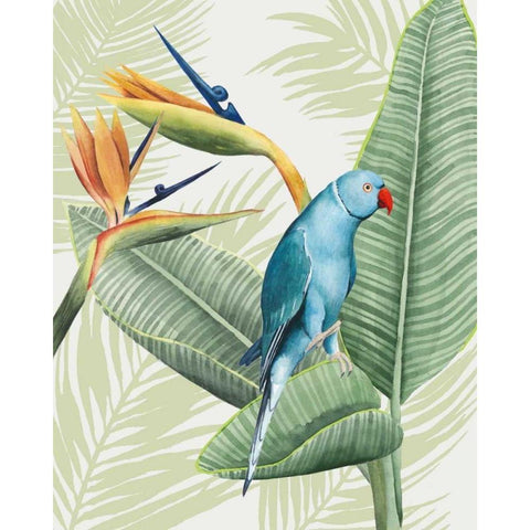 Avian Paradise III Black Modern Wood Framed Art Print by Popp, Grace