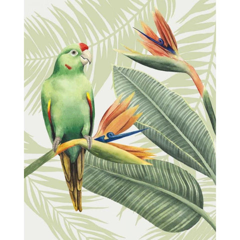 Avian Paradise IV Gold Ornate Wood Framed Art Print with Double Matting by Popp, Grace