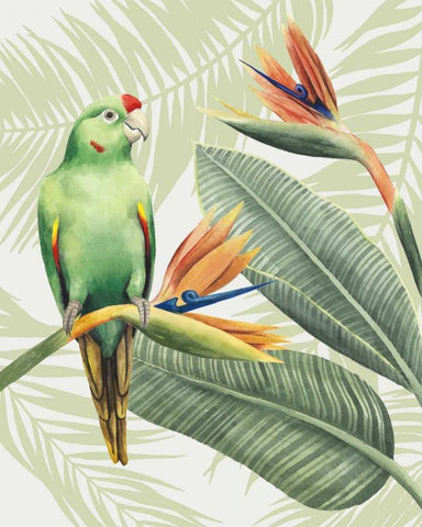 Avian Paradise IV White Modern Wood Framed Art Print with Double Matting by Popp, Grace