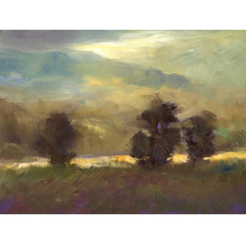 Passing Showers White Modern Wood Framed Art Print by Finch, Sheila