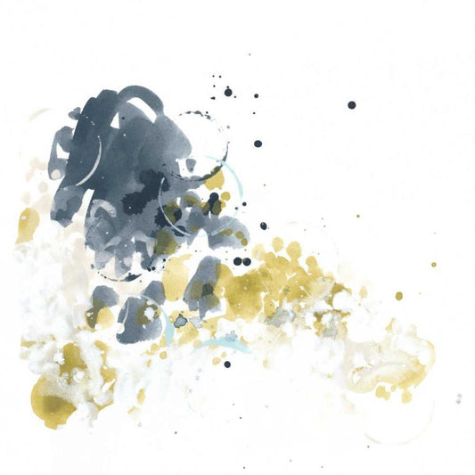 Image Only