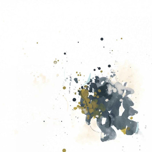 Image Only