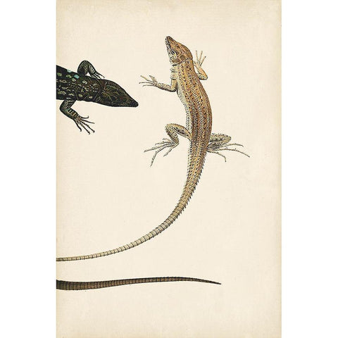 Lizard Diptych II Gold Ornate Wood Framed Art Print with Double Matting by Vision Studio