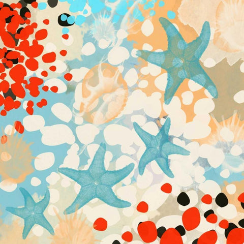 Exotic Sea Life I Black Modern Wood Framed Art Print with Double Matting by Orlov, Irena