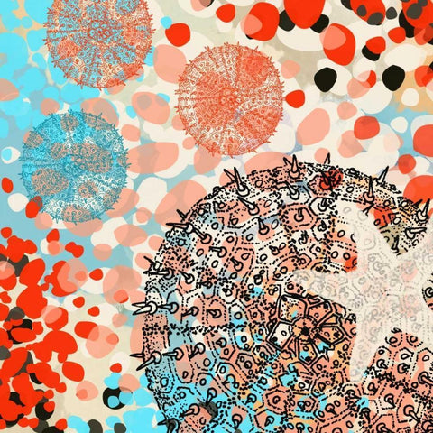 Exotic Sea Life III Black Modern Wood Framed Art Print with Double Matting by Orlov, Irena