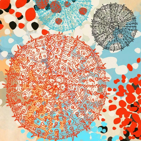 Exotic Sea Life VI Black Modern Wood Framed Art Print with Double Matting by Orlov, Irena