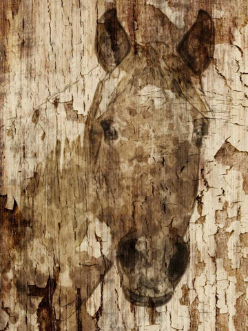 Champagne Horse I White Modern Wood Framed Art Print with Double Matting by Orlov, Irena