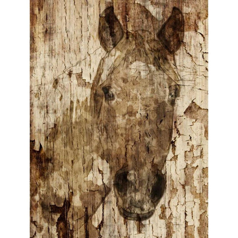 Champagne Horse I White Modern Wood Framed Art Print by Orlov, Irena