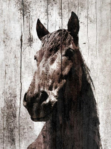 Le Muse II White Modern Wood Framed Art Print with Double Matting by Orlov, Irena