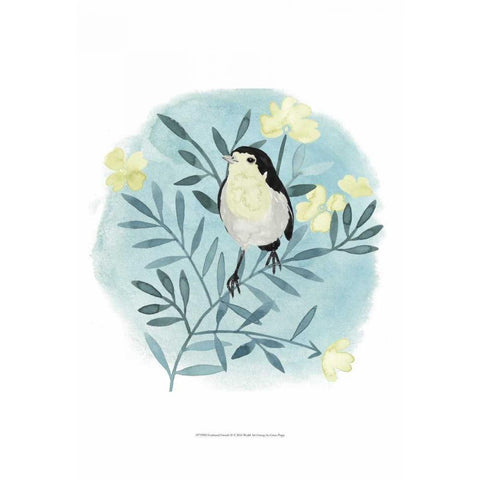 Feathered Friends II Black Modern Wood Framed Art Print by Popp, Grace