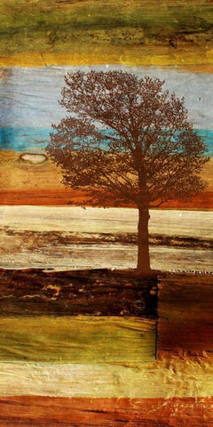 Fall Colors I White Modern Wood Framed Art Print with Double Matting by Orlov, Irena