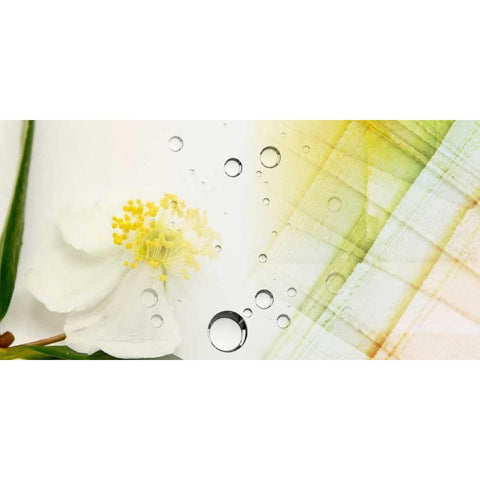 Serene Photo Collage I Gold Ornate Wood Framed Art Print with Double Matting by Orlov, Irena