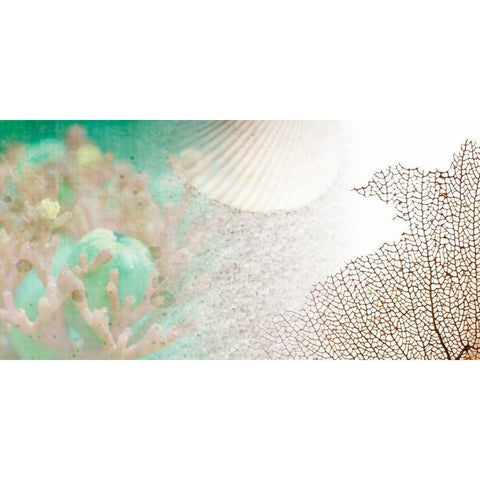 Serene Photo Collage II Black Modern Wood Framed Art Print by Orlov, Irena