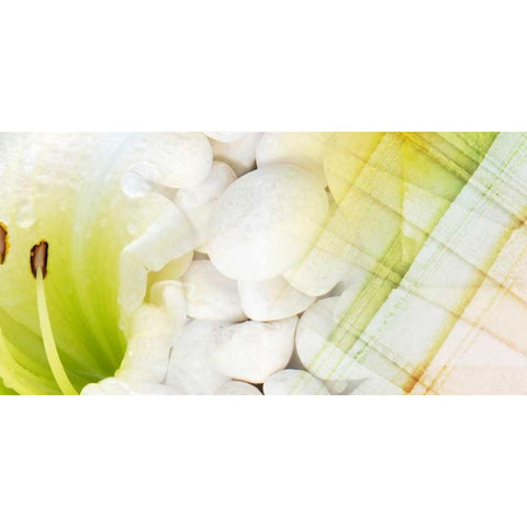 Serene Photo Collage VI White Modern Wood Framed Art Print by Orlov, Irena