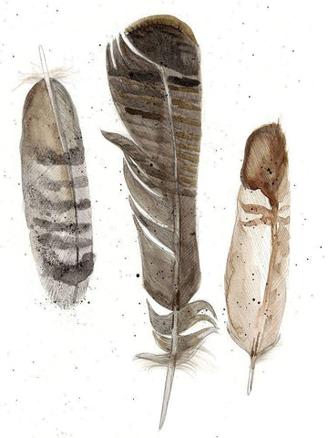 Custom Earthtone Feathers I (ASH) White Modern Wood Framed Art Print with Double Matting by Ludwig, Alicia
