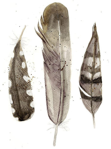 Custom Earthtone Feathers II (ASH) Black Ornate Wood Framed Art Print with Double Matting by Ludwig, Alicia
