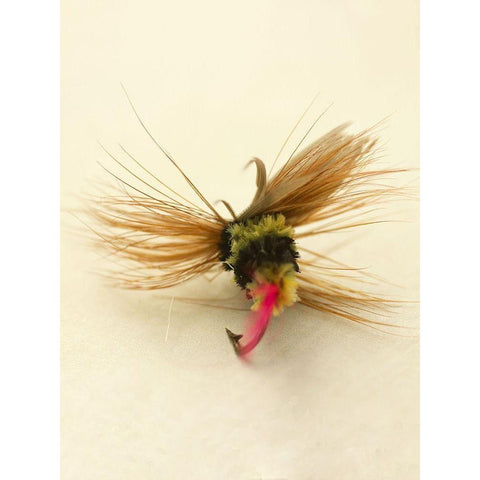 Custom Macro Lures IV (ASH) White Modern Wood Framed Art Print by Stalus, Judy