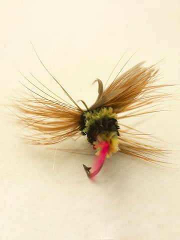 Custom Macro Lures IV (ASH) Black Ornate Wood Framed Art Print with Double Matting by Stalus, Judy