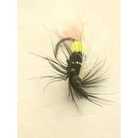 Custom Macro Lures VII (ASH) Black Modern Wood Framed Art Print with Double Matting by Stalus, Judy