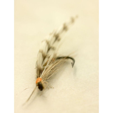 Custom Macro Lures IX (ASH) White Modern Wood Framed Art Print by Stalus, Judy