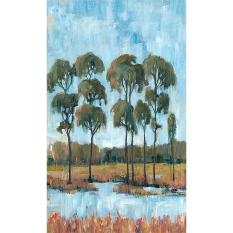 Trees in the Marsh I Black Modern Wood Framed Art Print with Double Matting by OToole, Tim