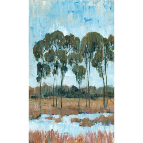 Trees in the Marsh II Black Modern Wood Framed Art Print by OToole, Tim